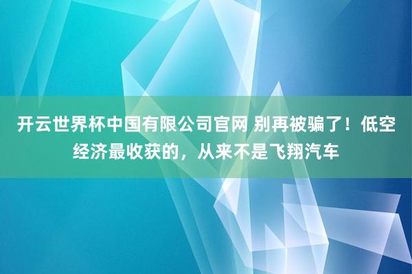 开云世界杯中国有限公司官网 别再被骗了!低空经济最收获的,从来不是飞翔汽车