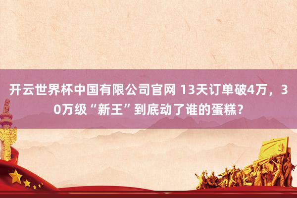 开云世界杯中国有限公司官网 13天订单破4万,30万级“新王”到底动了谁的蛋糕?