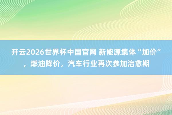 开云2026世界杯中国官网 新能源集体“加价”,燃油降价,汽车行业再次参加治愈期