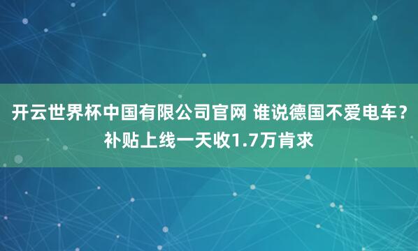 开云世界杯中国有限公司官网 谁说德国不爱电车?补贴上线一天收1.7万肯求
