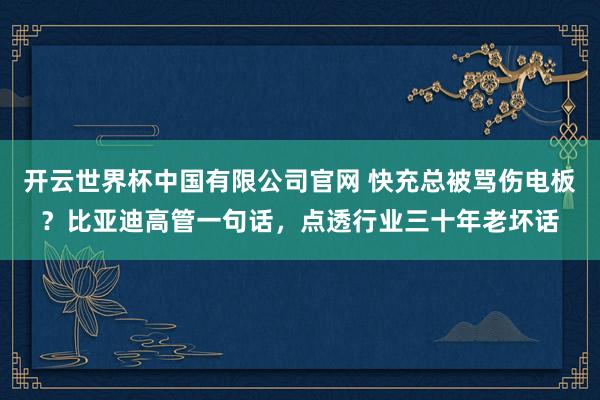 开云世界杯中国有限公司官网 快充总被骂伤电板？比亚迪高管一句话，点透行业三十年老坏话