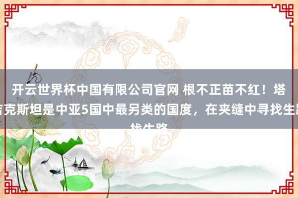 开云世界杯中国有限公司官网 根不正苗不红!塔吉克斯坦是中亚5国中最另类的国度,在夹缝中寻找生路