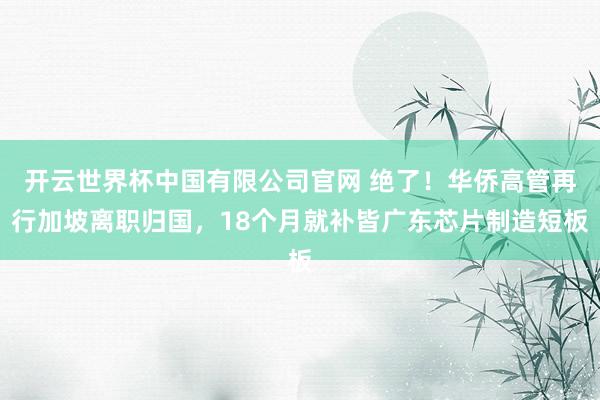 开云世界杯中国有限公司官网 绝了!华侨高管再行加坡离职归国,18个月就补皆广东芯片制造短板