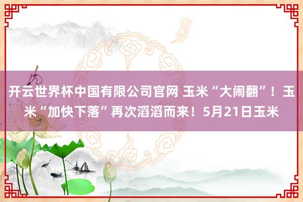 开云世界杯中国有限公司官网 玉米“大闹翻”!玉米“加快下落”再次滔滔而来!5月21日玉米