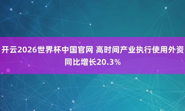 开云2026世界杯中国官网 高时间产业执行使用外资同比增长20.3%