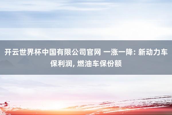 开云世界杯中国有限公司官网 一涨一降: 新动力车保利润, 燃油车保份额