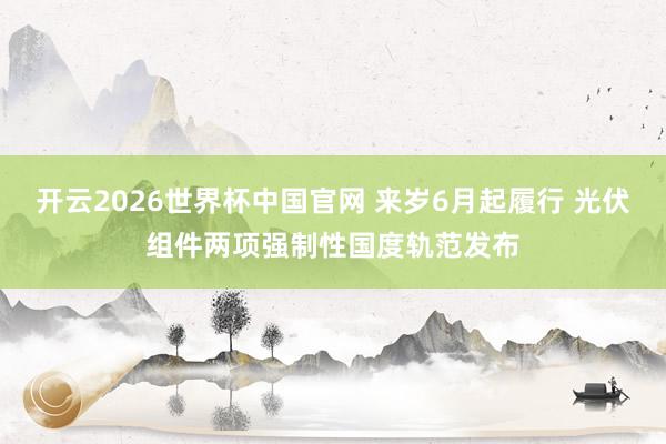开云2026世界杯中国官网 来岁6月起履行 光伏组件两项强制性国度轨范发布