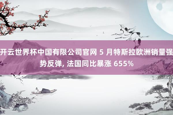 开云世界杯中国有限公司官网 5 月特斯拉欧洲销量强势反弹, 法国同比暴涨 655%