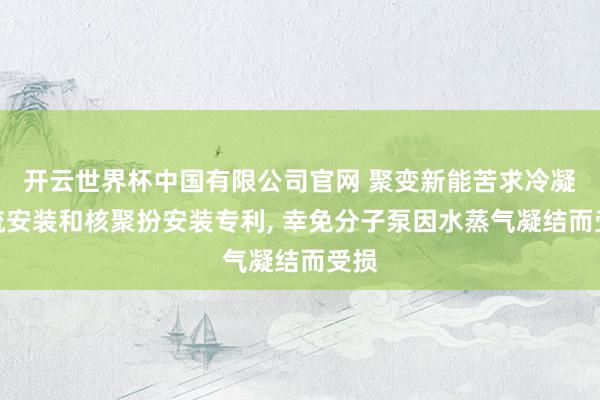 开云世界杯中国有限公司官网 聚变新能苦求冷凝回流安装和核聚扮安装专利, 幸免分子泵因水蒸气凝结而受损