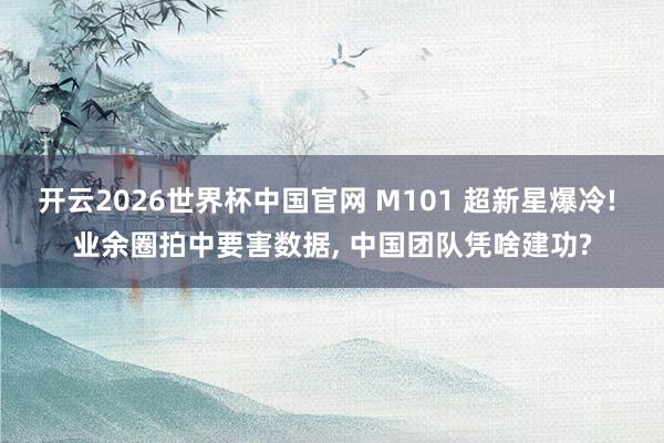 开云2026世界杯中国官网 M101 超新星爆冷! 业余圈拍中要害数据, 中国团队凭啥建功?
