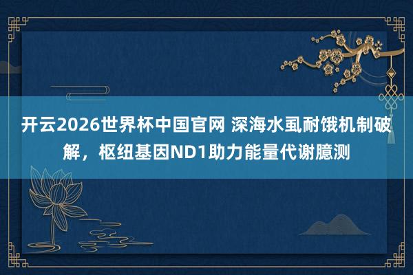 开云2026世界杯中国官网 深海水虱耐饿机制破解,枢纽基因ND1助力能量代谢臆测