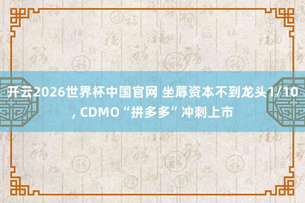 开云2026世界杯中国官网 坐蓐资本不到龙头1/10, CDMO“拼多多”冲刺上市