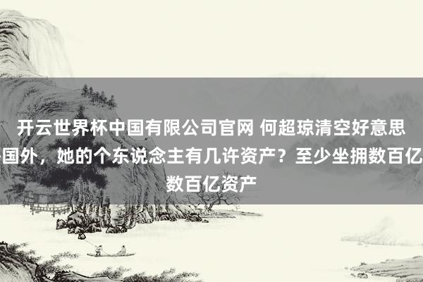 开云世界杯中国有限公司官网 何超琼清空好意思高梅国外,她的个东说念主有几许资产?至少坐拥数百亿资产