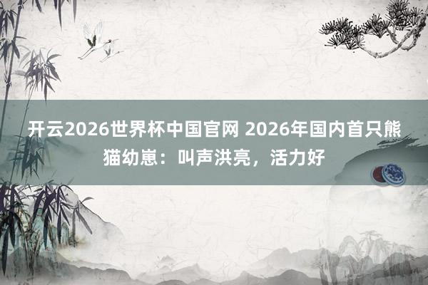 开云2026世界杯中国官网 2026年国内首只熊猫幼崽:叫声洪亮,活力好