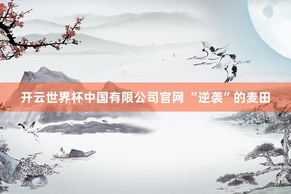 开云世界杯中国有限公司官网 “逆袭”的麦田