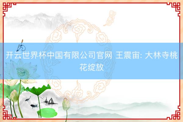 开云世界杯中国有限公司官网 王震宙: 大林寺桃花绽放