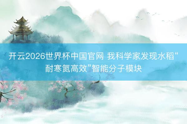 开云2026世界杯中国官网 我科学家发现水稻“耐寒氮高效”智能分子模块