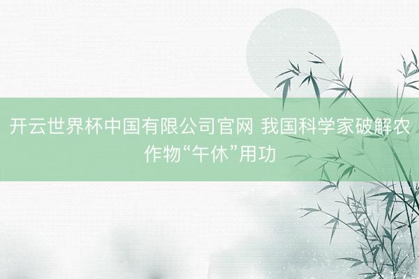 开云世界杯中国有限公司官网 我国科学家破解农作物“午休”用功